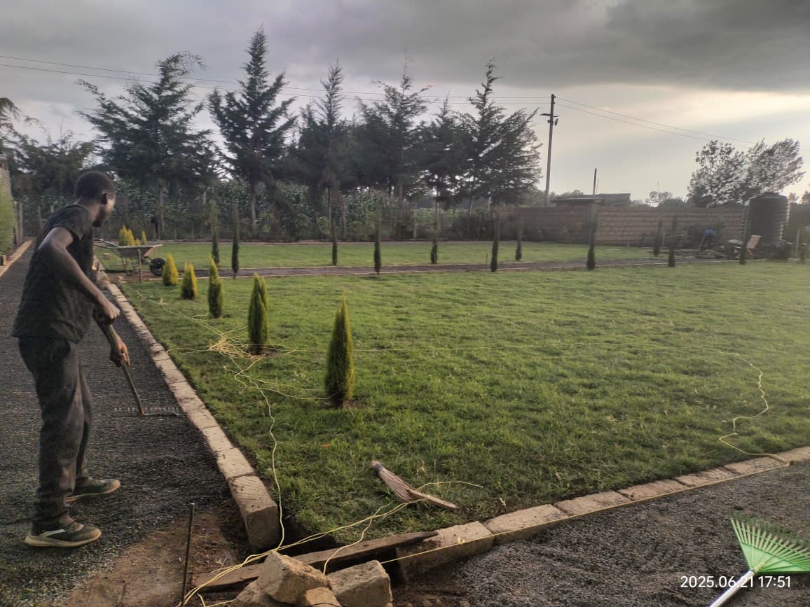 Residential landscape and pathway installation in progress